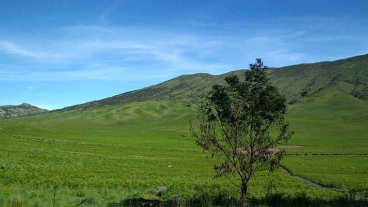 penampakan gunung bromo untuk wisata