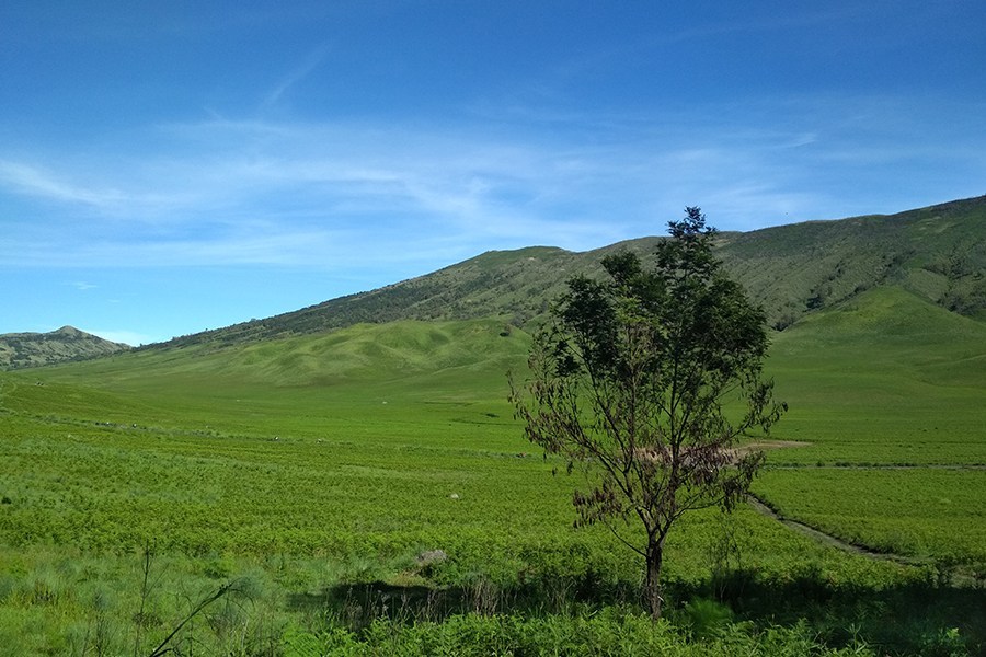 penampakan gunung bromo untuk wisata